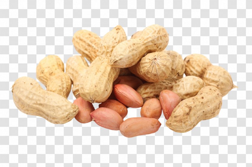 Peanut Seed Legume Pistachio - Cashew Transparent PNG