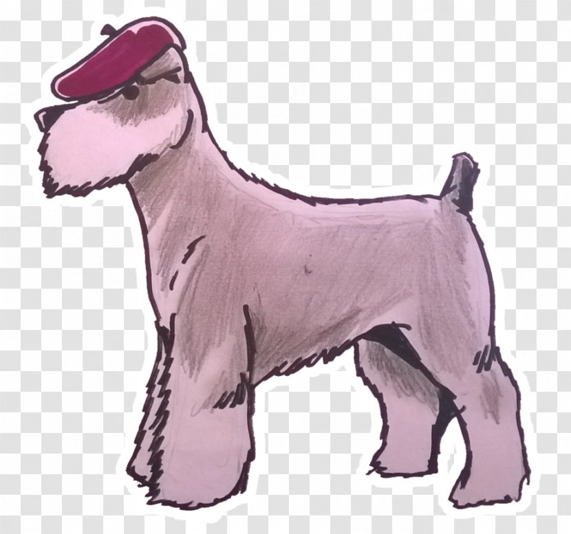 Miniature Schnauzer Standard Lakeland Terrier Irish Dog Breed - Puppy Transparent PNG