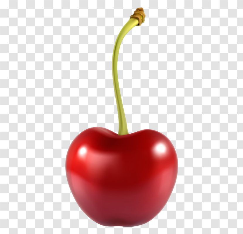 Cherry Pie Fruit Clip Art - Vegetable Transparent PNG