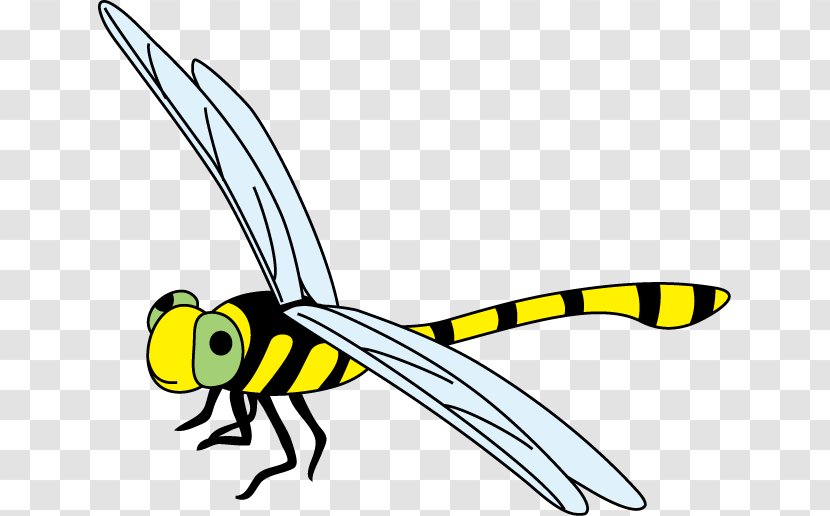 Insect Dragonfly Clip Art - Cartoon Transparent PNG