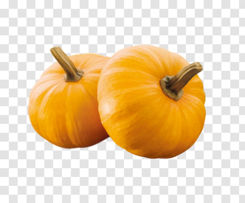 Pumpkin Pie Calabaza Gourd Winter Squash - Fruit Transparent PNG