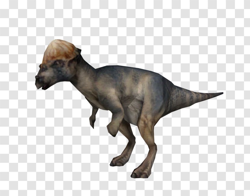 Jurassic Park: Operation Genesis Pachycephalosaurus Warpath: Park Homalocephale Tyrannosaurus - Video Game - Dinosaur Transparent PNG