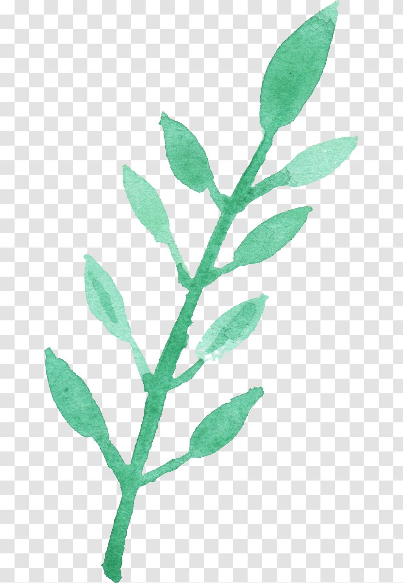 Leaf Watercolor Painting Clip Art - Green Transparent PNG