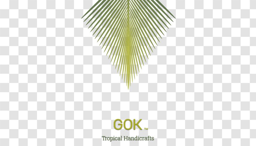 Coconut Logo Graphic Design Leaf Art - Museum - Cocos Nucifera Transparent PNG