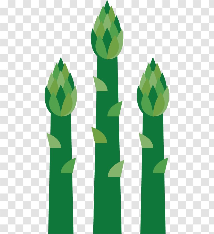 Veggie Burger Vegetable Bamboo Shoot - Vector Green Shoots Material Transparent PNG