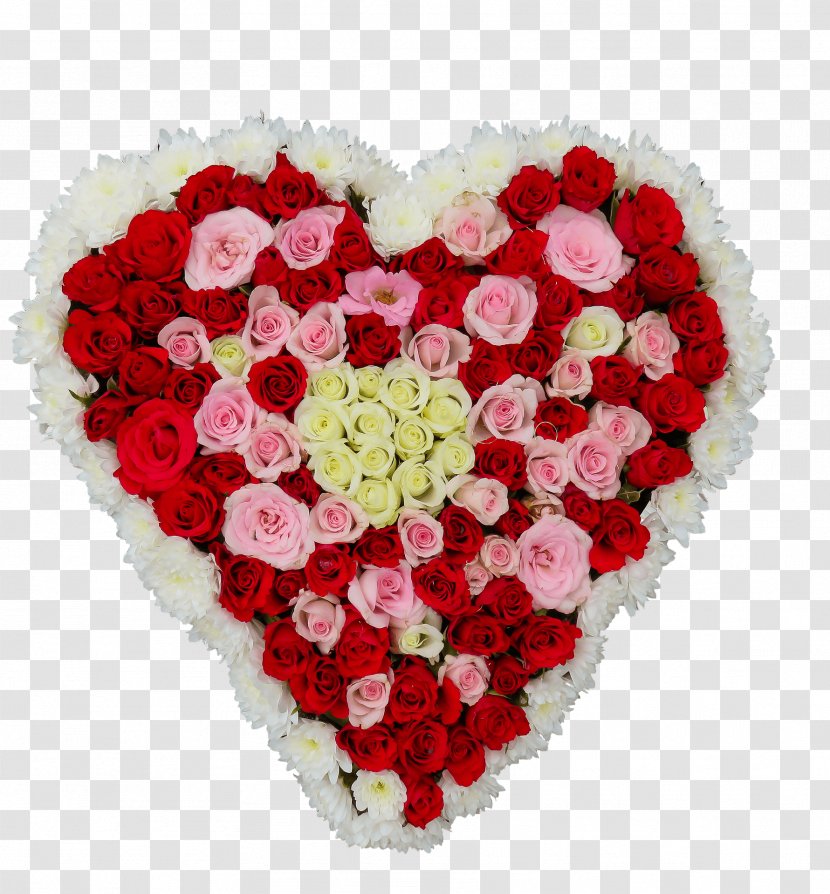 Valentine's Day Flower Bouquet Rose - Carnation Transparent PNG