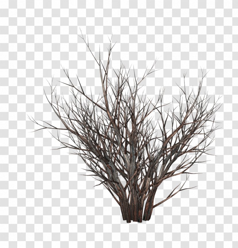 Stock Photography Tree Royalty-free Rendering - Twig - Hand-painted Snow Transparent PNG