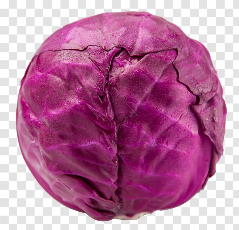 Red Cabbage Broccoli Vegetable Purple - Green Transparent PNG