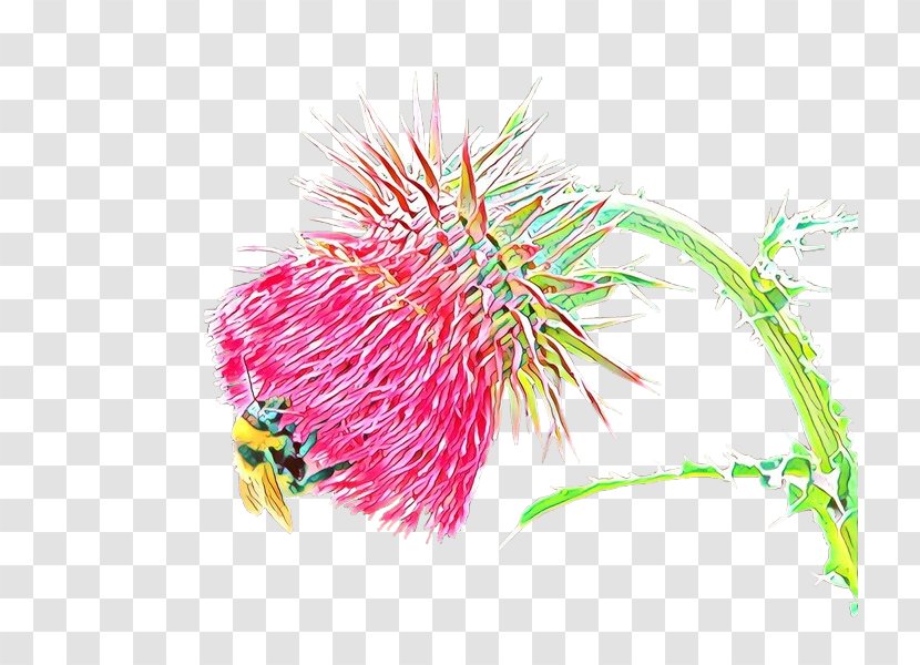 Pink Flower Cartoon - Grevillea Plant Transparent PNG