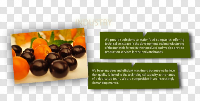 Advertising Natural Foods Brochure Brand - Food Industry Transparent PNG