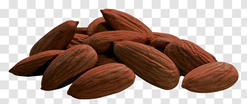 Almond Nut Clip Art - Commodity - Dried Fruit Transparent PNG