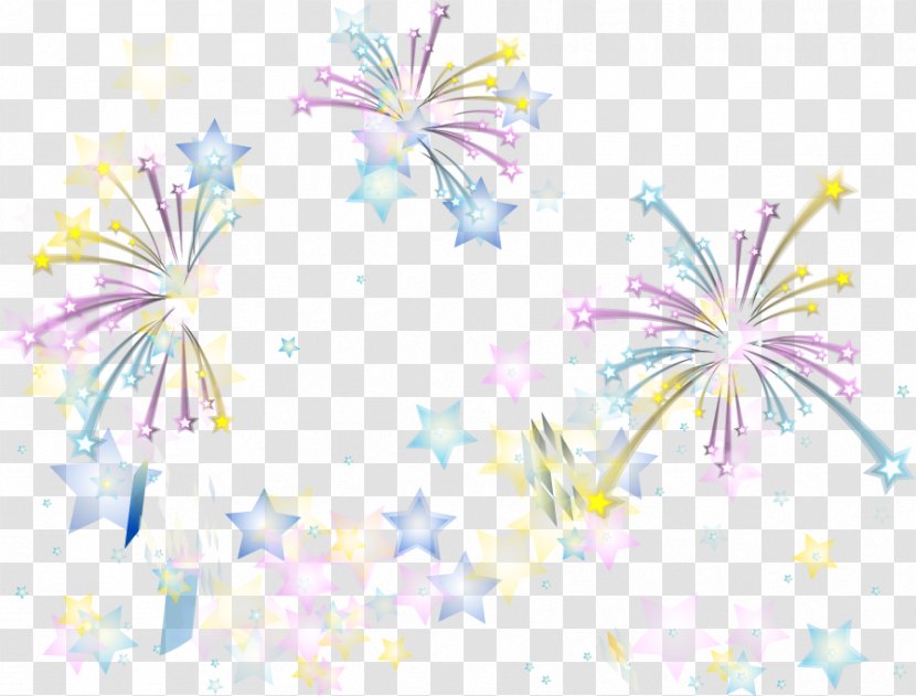 Fireworks Wallpaper - Fire - Vector Color Transparent PNG