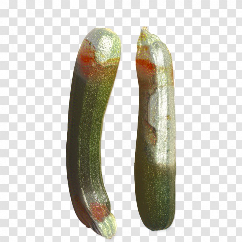 Vegetable Cartoon - Cucumber - Cucumis Transparent PNG