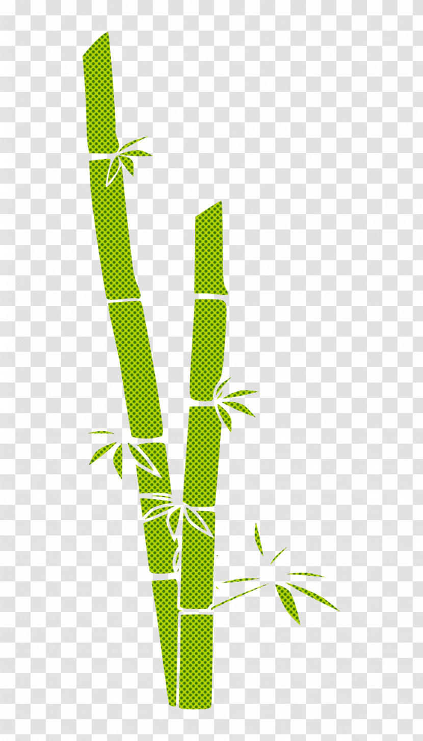 Leaf Plant Stem Plant Grass Family Line Transparent PNG
