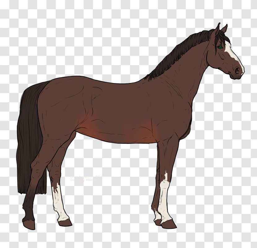 Stallion Pony Mustang Mare Clip Art Transparent PNG