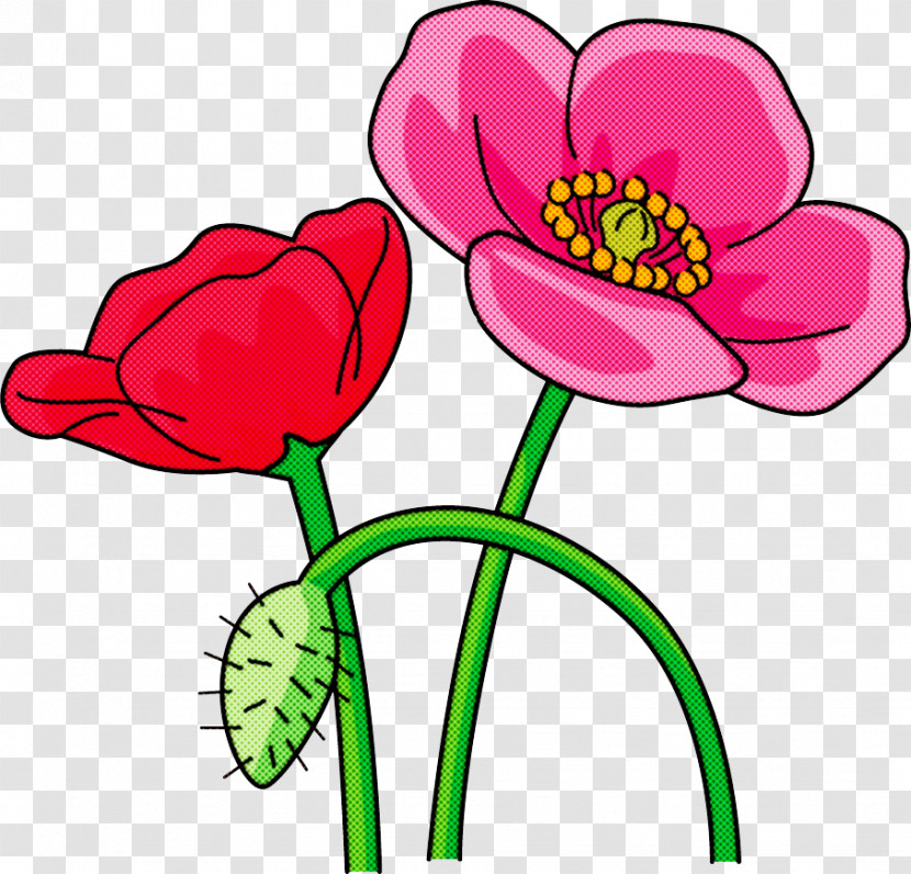 Red Poppy Flower Poppy Flower Transparent PNG