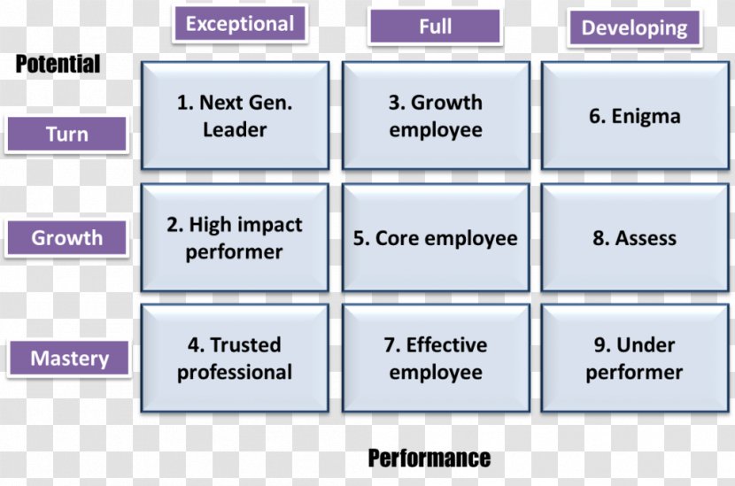 Performance Management Talent Organization - Material - Vocational Skills Template Transparent PNG