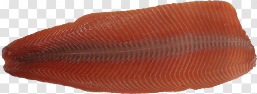 Salmon Fillet Steak Fish Skin - Orange Transparent PNG