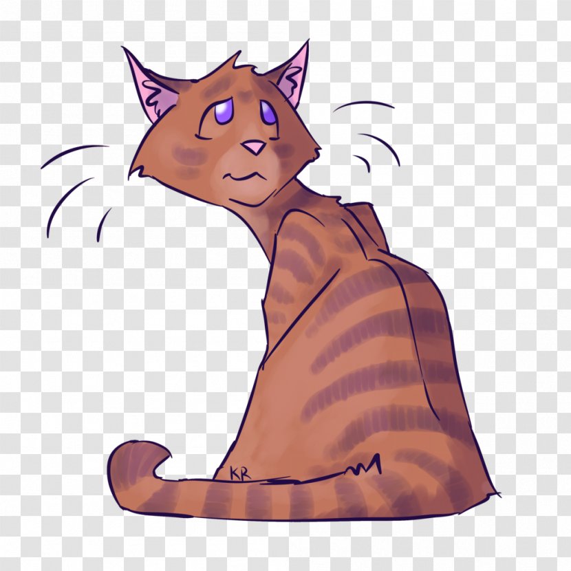 Whiskers Kitten Video Transparent PNG