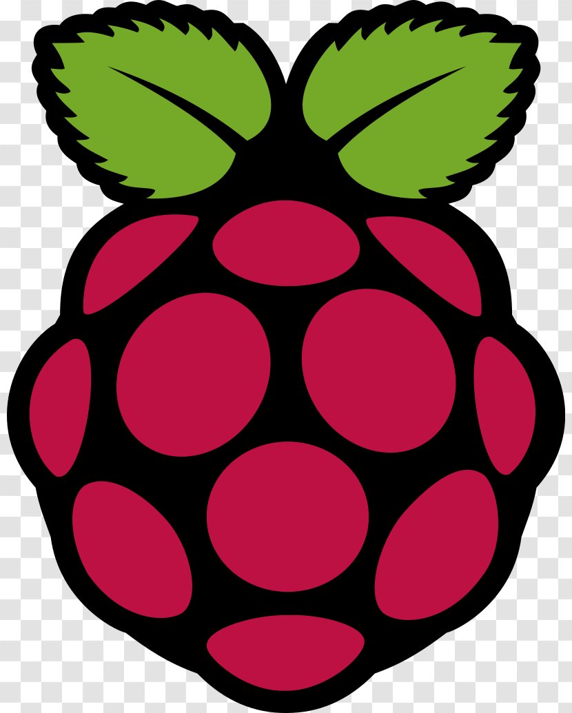 Raspberry Pi Foundation Raspbian Single-board Computer Logo Transparent PNG
