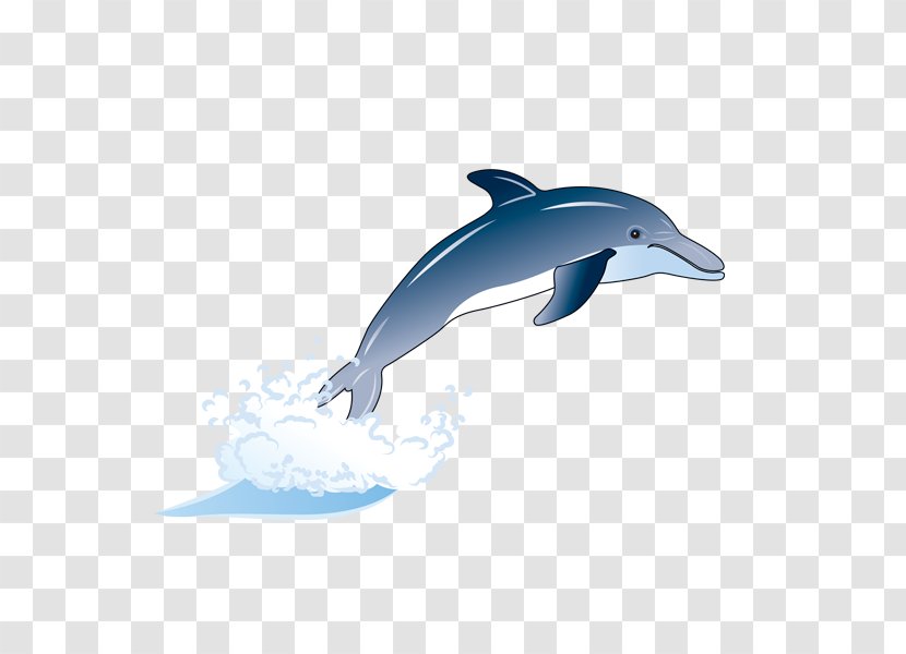 Wholphin Common Bottlenose Dolphin Short-beaked Tucuxi Rough-toothed - Whales Dolphins And Porpoises Transparent PNG