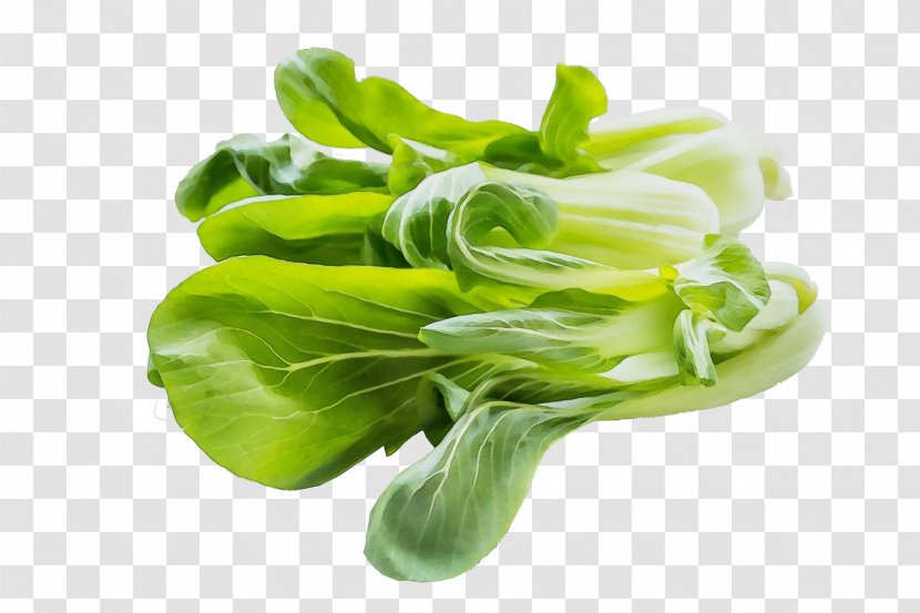 Vegetable Leaf Plant Choy Sum - Chinese Cabbage Tatsoi Transparent PNG
