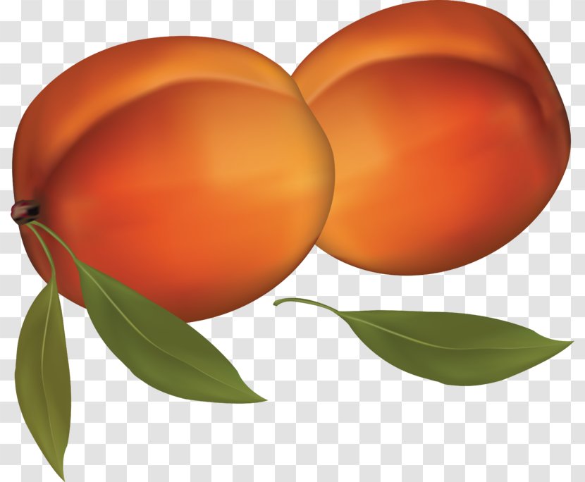 Peach Juice Clip Art - Diospyros Transparent PNG
