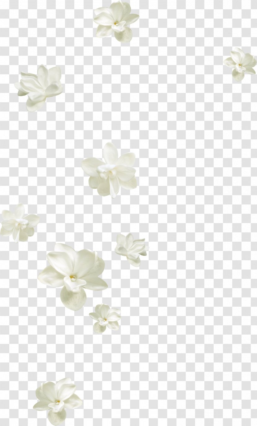 Flower Petal White - Textile - Pretty Flowers Floating Transparent PNG