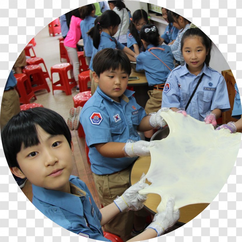 한국청소년연맹 Human Behavior Toddler Society - South Korea - Koya Transparent PNG