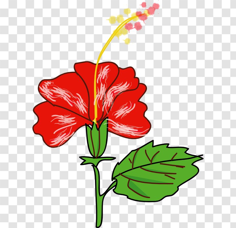 Shoeblackplant Flower Hawaiian Hibiscus Drawing Clip Art - Whorl - Picture Of Plant Transparent PNG