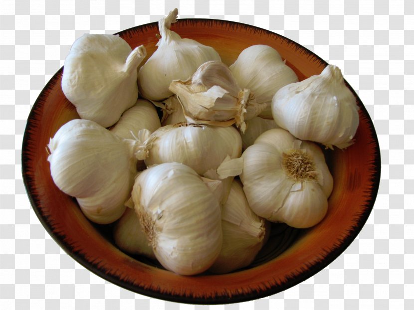 Garlic Vegetable Salsa Food Tourin - Health Benefits Of Transparent PNG