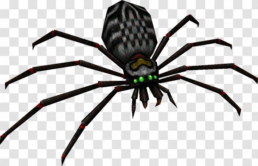Widow Spiders Insect STX G.1800E.J.M.V.U.NR YN - Stx G1800ejmvunr Yn Transparent PNG