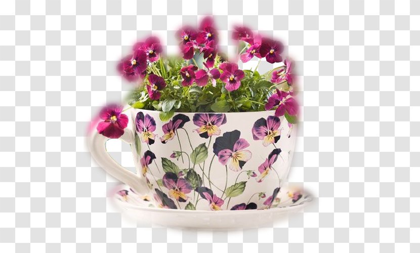 Teacup Flowerpot Saucer Vase - Garden - Cesta Transparent PNG