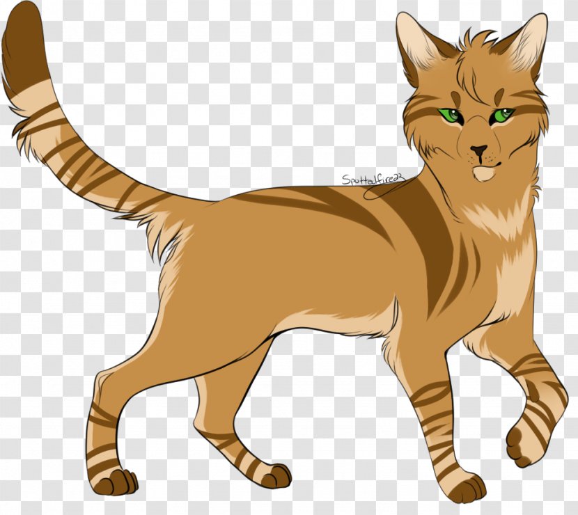 Wildcat Whiskers Domestic Short-haired Cat Warriors - Wild Transparent PNG