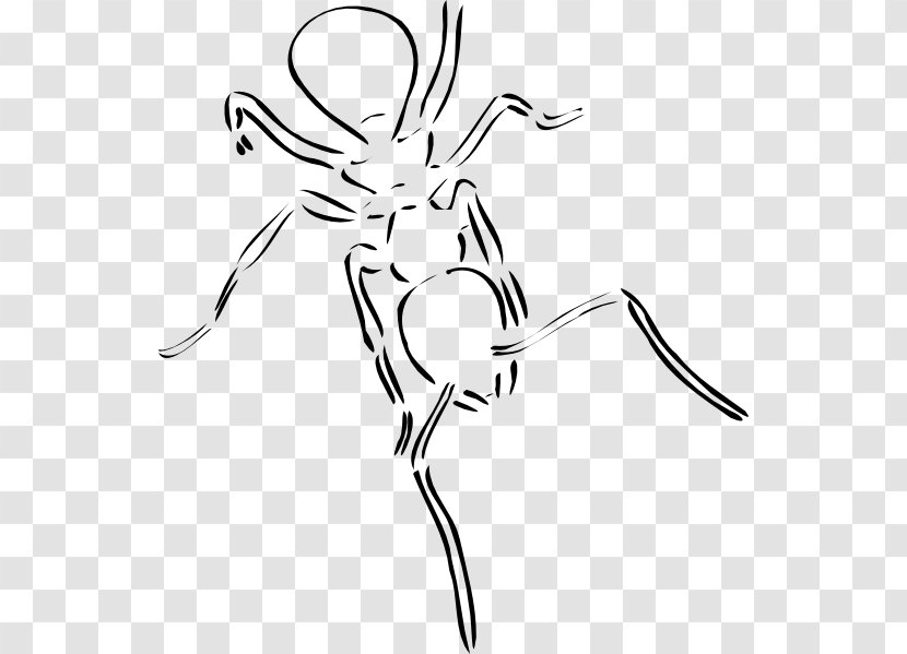 Ant Line Art Clip - Point - Ants Vector Transparent PNG