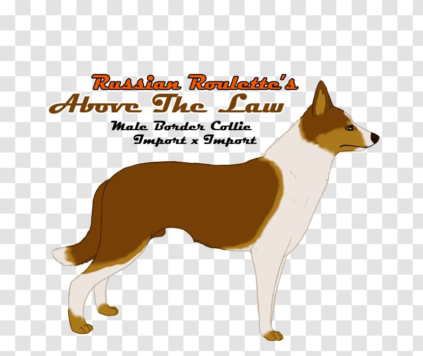 Dog Breed Norwegian Lundehund Norway Sticker - Tail Transparent PNG