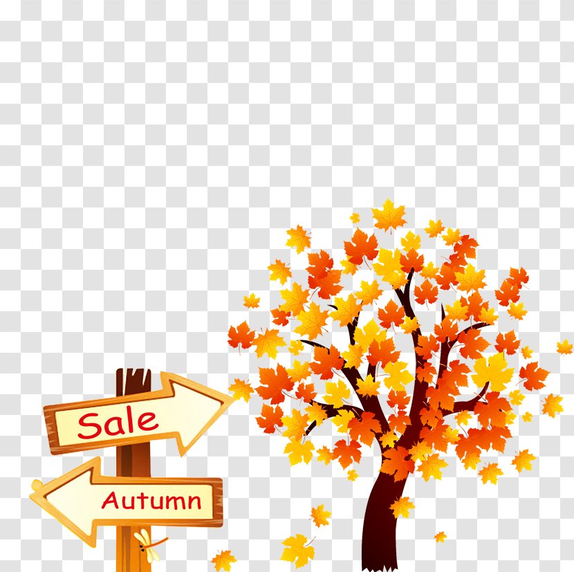 Autumn Southern Hemisphere Poster - Branch - Leaves Falling Transparent PNG