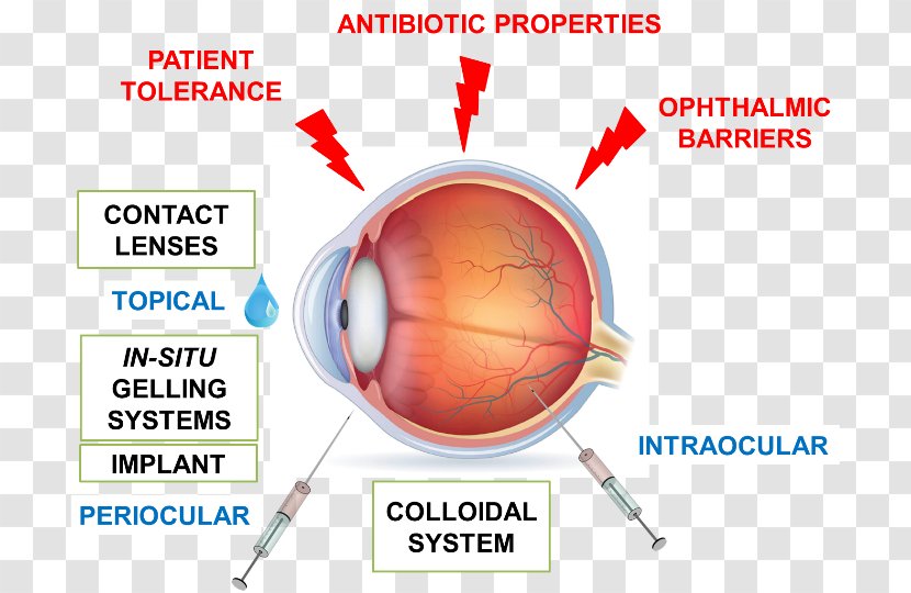 Drug Delivery Pharmaceutical Pharmaceutics Pharmacy - Iphone 6s Transparent PNG