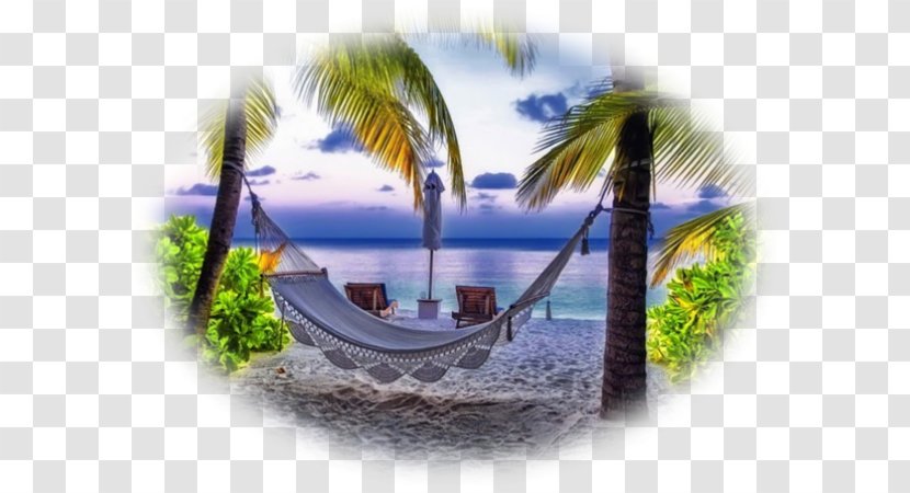 Lanikai Beach Hammock Desktop Wallpaper Hotel - Palm Tree - Paysage Transparent PNG