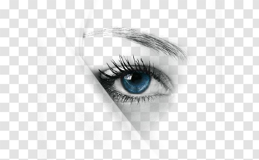 Eyelash IPhone X Beauty Woman - Heart - Blue Eyes Transparent PNG