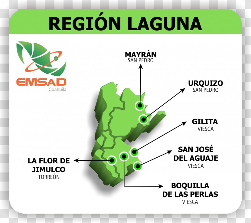 Nuevo León Laguna De Mayrán Technology Coahuila Viesca - Plant Transparent PNG
