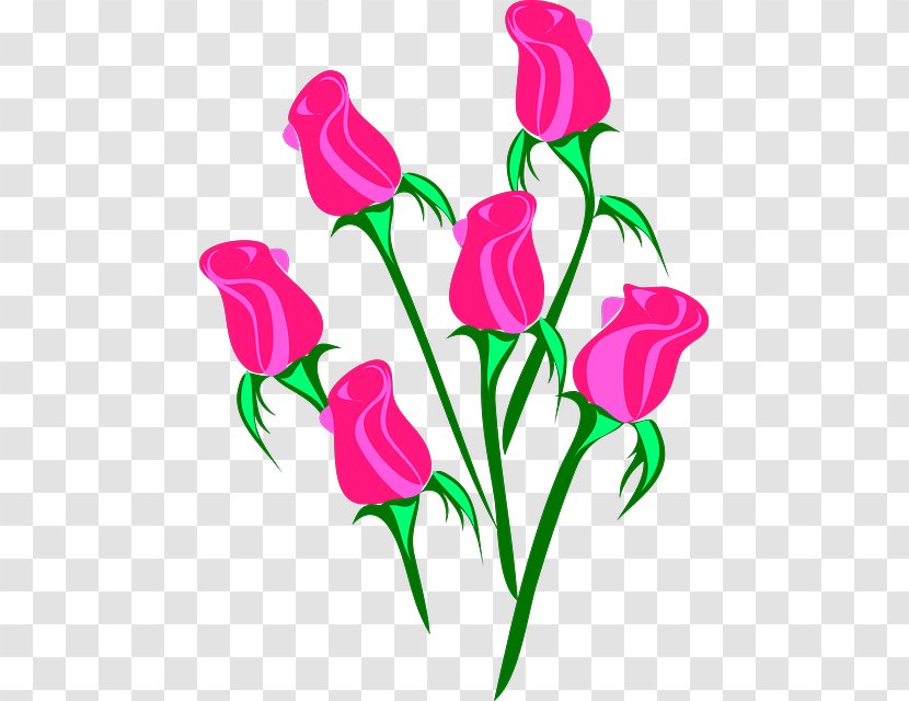 Rose Flower Pink Clip Art - Petal - Flowers Cartoon Transparent PNG