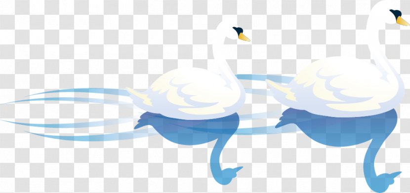 Cygnini Bird Illustration - Brand - Vector White Swan Lake Transparent PNG