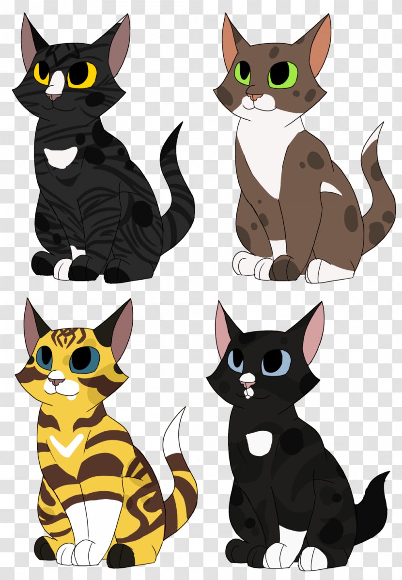 American Wirehair Whiskers Kitten Domestic Short-haired Cat - Mammal Transparent PNG