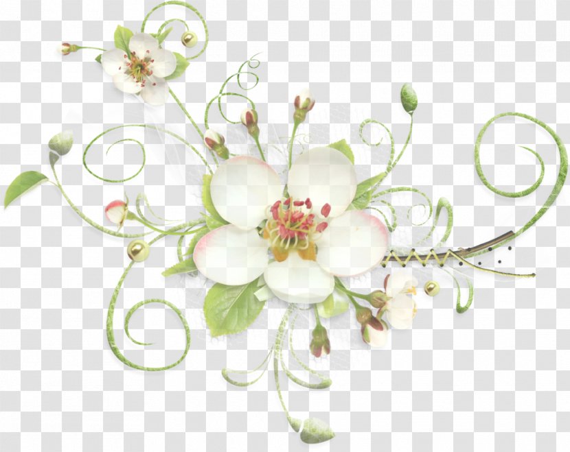 Floral Design - Floristry Transparent PNG