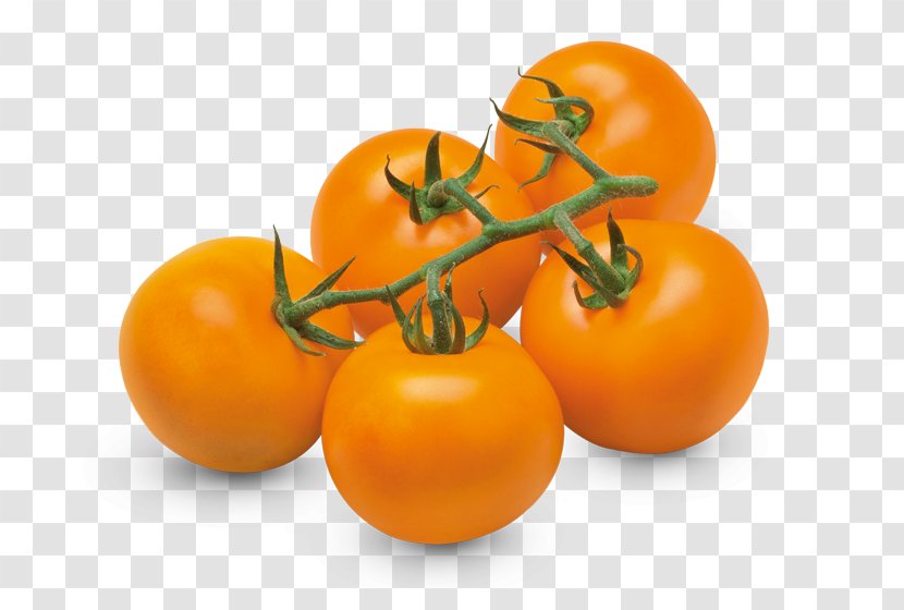 Cherry Tomato Heirloom Vegetable Orange Variety - Tomatoes Transparent PNG