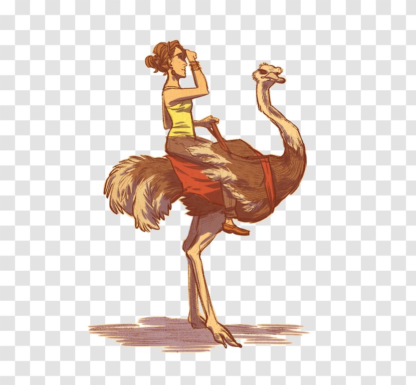 Common Ostrich Drawing Jockey Racing - Bird Transparent PNG