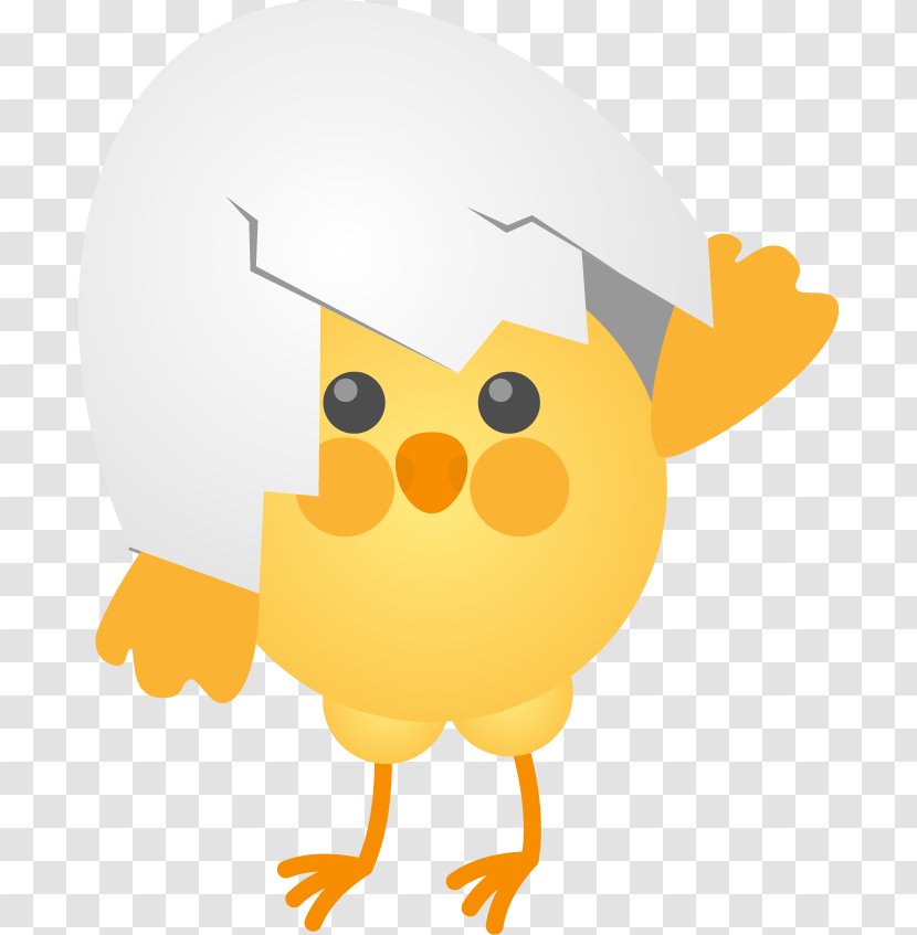 Chicken Cartoon Clip Art - Beak - Cute Chick Egg Shell Eggs Broken Transparent PNG
