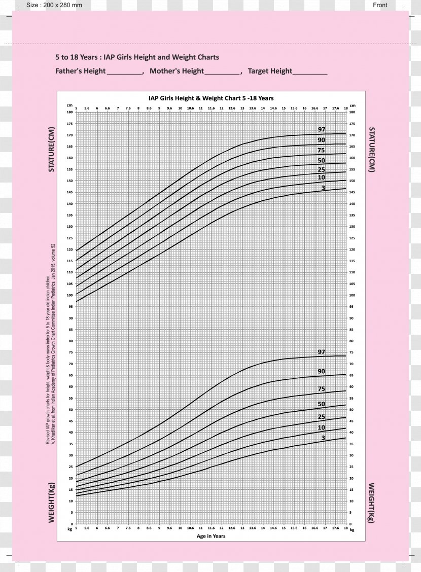 Growth Chart Weight And Height Percentile Child Pediatrics Infant - Frame - Measurement Transparent PNG