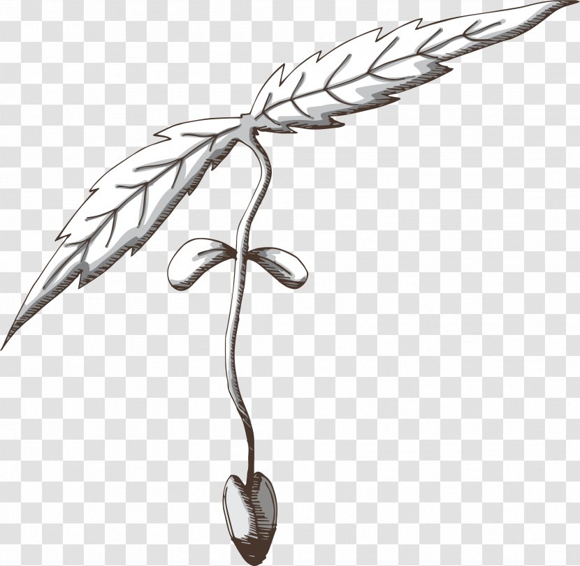 Feather - Drawing Line Art Transparent PNG